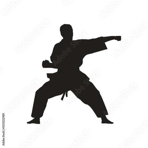 martial art Vector or karate silhouettes vector illustration Japan and China traditional martial art. self-defense presentation symbols. body poses icons. Karate poses signs