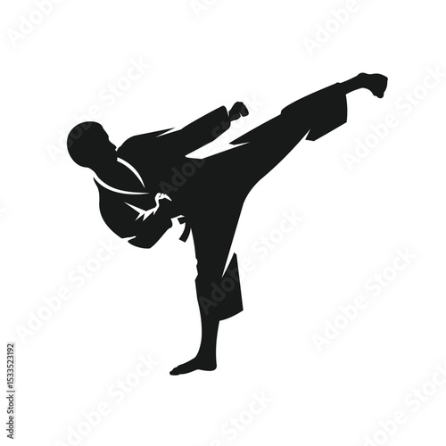 martial art Vector or karate silhouettes vector illustration Japan and China traditional martial art. self-defense presentation symbols. body poses icons. Karate poses signs