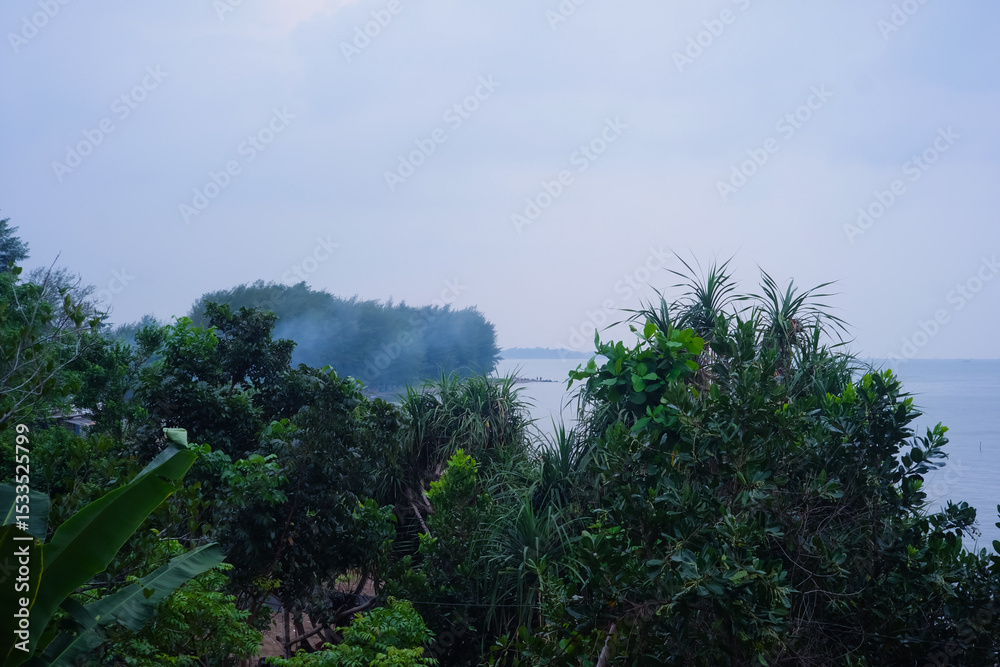 Obraz premium Serene Coastal Landscape Misty Morning View of Lush Tropical Vegetation and Calm Water