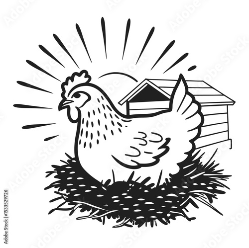 vector illustration of a chicken