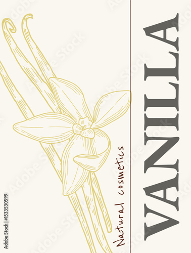 Vanilla Flower with Sticks Label. Hand drawn vector illustration of Natural cosmetics design template with drawing of vanilla. Sketch in line art style for package of aromatherapy and spa.