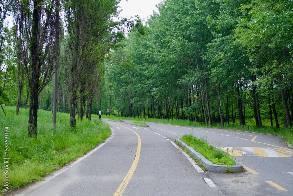 Obraz premium Tree-lined road split in Gangseo Hangang Park