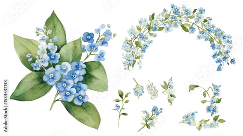  Set of blue forget-me-nots and white lilies of the valley on transparent background