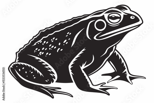 american toad sihouette black vector