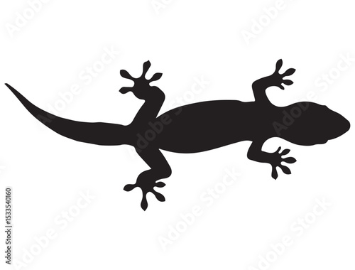 GECKO SILHOUETTE