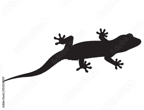 GECKO SILHOUETTE