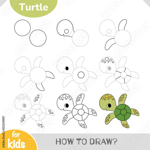 Learn how to draw a cute turtle with vector activity worksheet