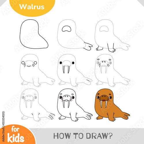 How to draw a cute walrus using step-by-step simple guide.