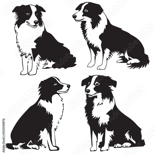 border collie dog silhouette set, Black & White silhouette set