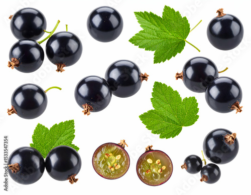 Collection of Fresh Black Currants with Leaves Isolated on White Background