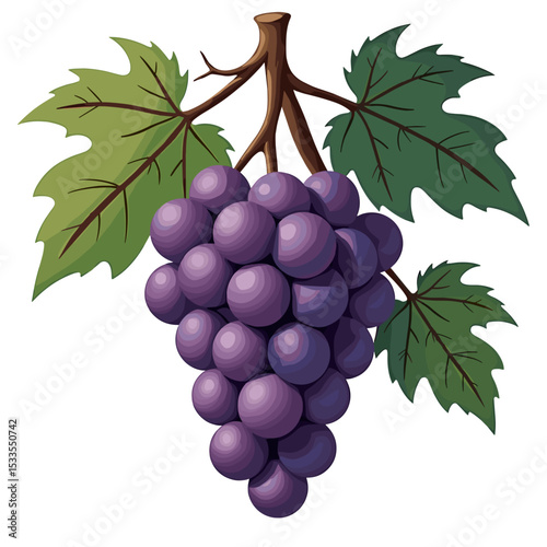 Illustration of a Bunch of Purple Grapes Hanging from a Branch with Green Leaves