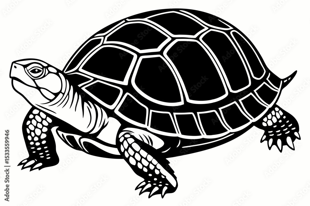 Fototapeta premium box turtle sihouette black vector