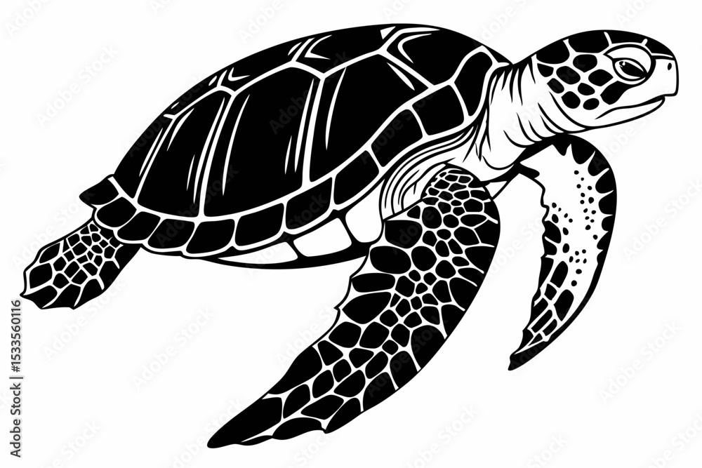 Obraz premium box turtle sihouette black vector