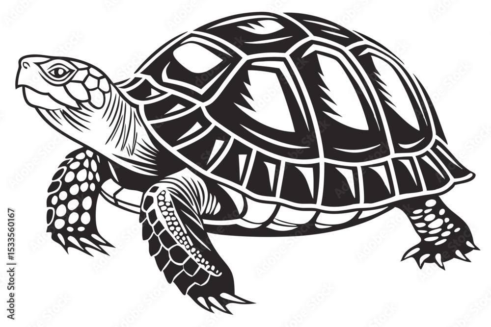 Fototapeta premium box turtle sihouette black vector