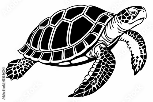 box turtle sihouette black vector