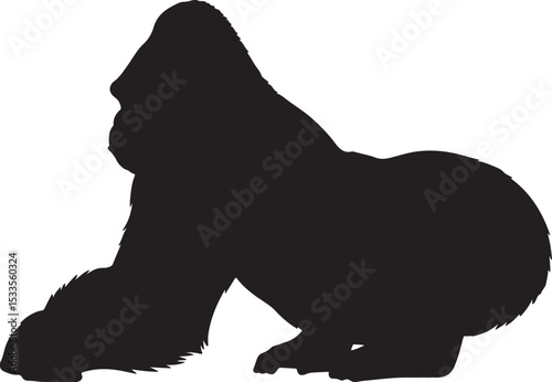 GORILLA SILHOUETTE