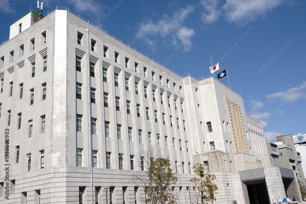 Fototapeta premium 日本、大阪市、大阪府庁舎本館、建造物、日本の国旗、日章旗、日の丸、国旗、大正、近畿、大阪府、青空