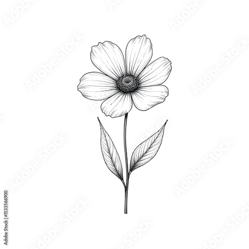 Minimalist Flower Line Art Vector Illustration