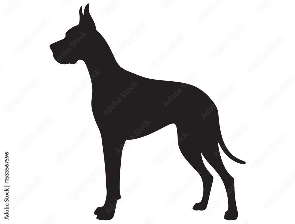 Obraz premium GREAT DANE SILHOUETTE