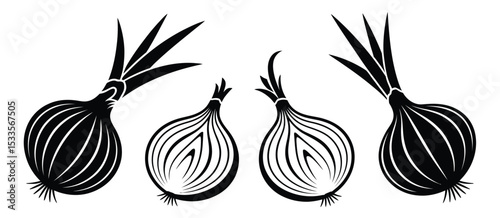 Black and White Onion Illustrations Whole and Halved
