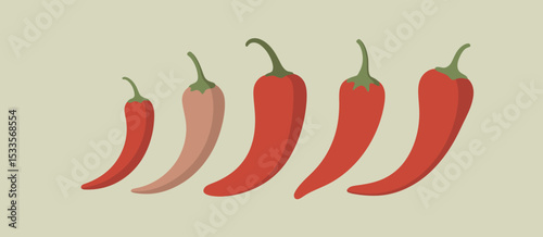 Five Red Chili Peppers Growing Stages Illustration