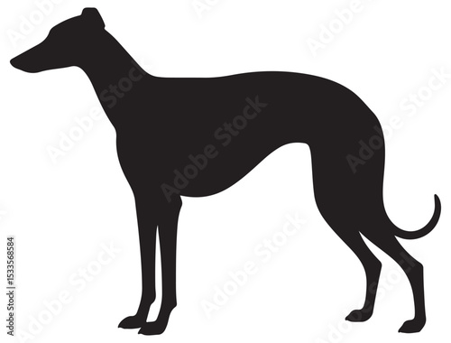 GREYHOUND DOG SILHOUETTE