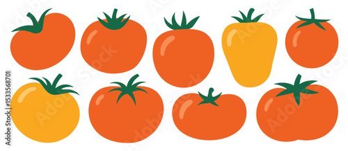 Collection of Colorful Tomatoes Illustration