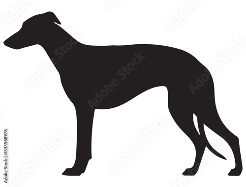 GREYHOUND DOG SILHOUETTE