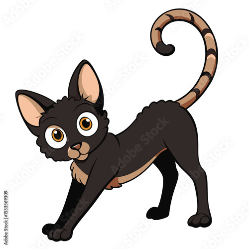 Cornish Rex cat with curly black fur stretching gracefully, a unique feline, elegant movement, white background.