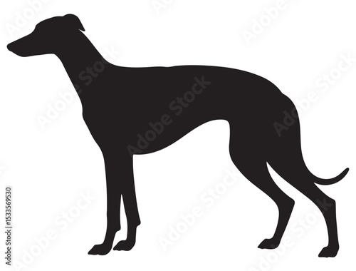 GREYHOUND DOG SILHOUETTE