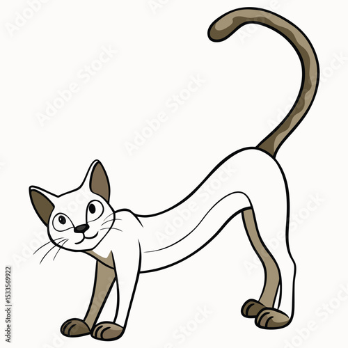 a Javanese cat with a long, slim body stretches, showing its elegant lines and flexible movements.