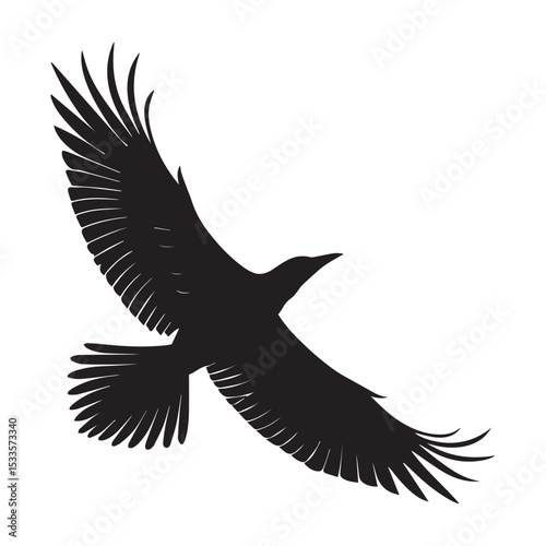 Black silhouette of a bird in flight wings spread wide