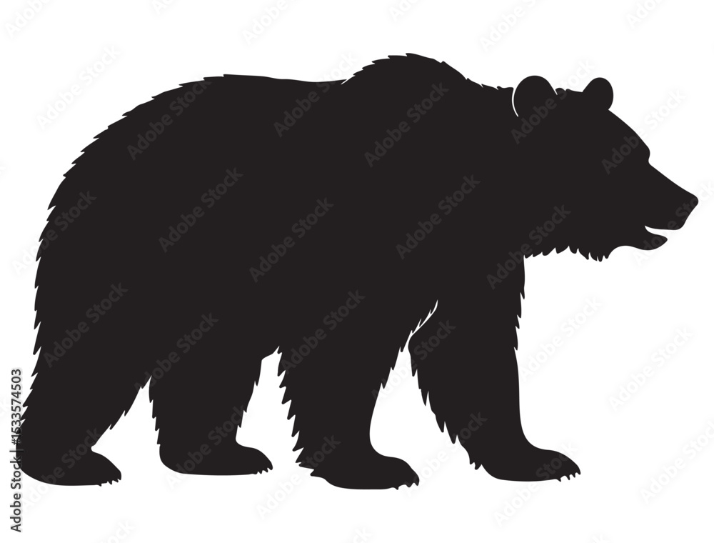 Fototapeta premium GRIZZLY BEAR SILHOUETTE