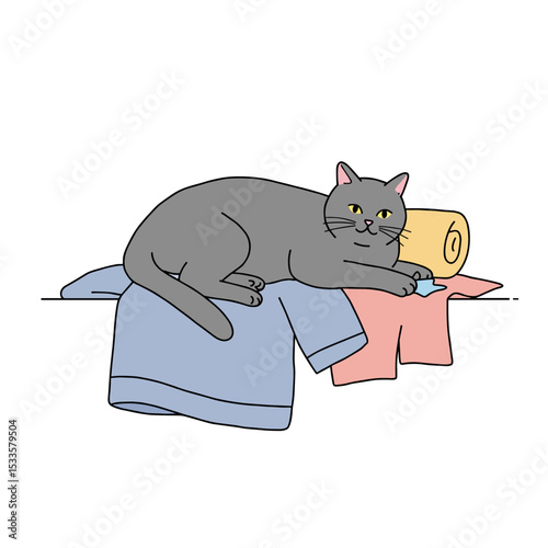 Cat lying on clean clothes with a relaxed expression on a laundry pile  