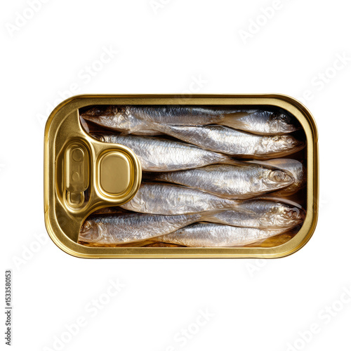 Canned sardines in oil on a white backdrop demonstrating food preservation