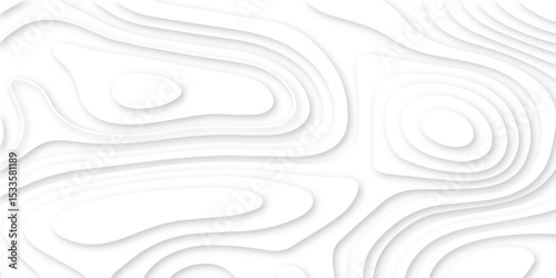 Abstract realistic papercut decoration textured with wavy layers .Topographic canyon geometric map relief texture with curved layers and shadow .Abstract wavy line 3d paper cut white background.
