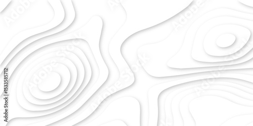 Abstract realistic papercut decoration textured with wavy layers .Topographic canyon geometric map relief texture with curved layers and shadow .Abstract wavy line 3d paper cut white background.