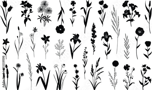 Set of Minimalist Botanical Silhouettes Featuring Wildflowers, Grasses, and Plant Illustrations