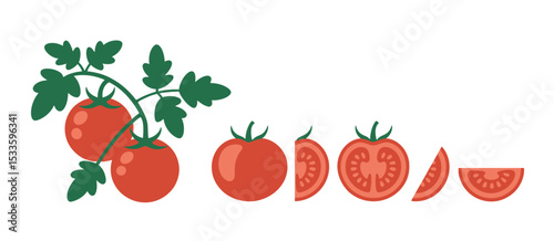 Fresh Tomatoes on the Vine with Slices Illustration