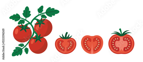 Fresh Red Tomatoes on the Vine with Slices
