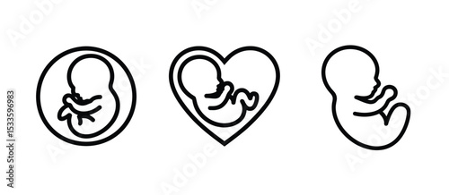 Fetus Development Stages  Three Outline Illustrations