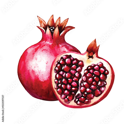 Watercolor illustration of whole and halved pomegranate fruit isolated on transparent background