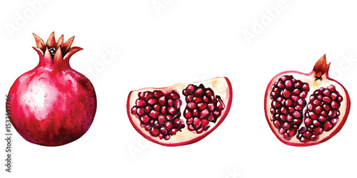 Watercolor pomegranate fruit whole and sliced on transparent background png cutout