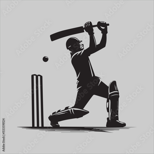 Cricket Silhouette Power

