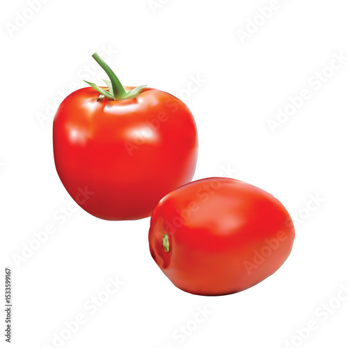 tomato illustration on white background vol 01