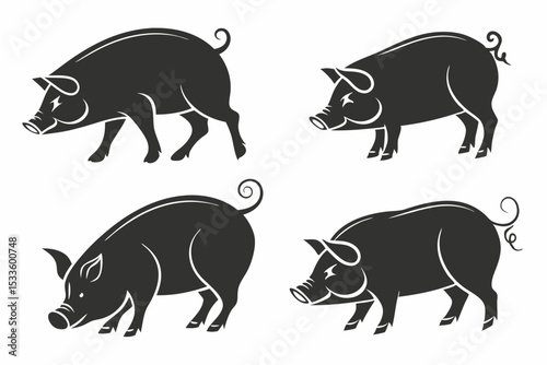 vector illustration of a pig
