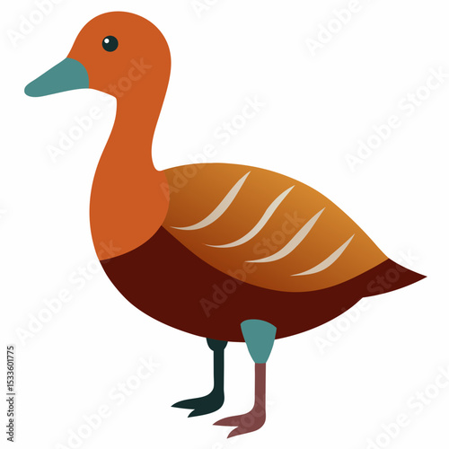 duck isolated on white