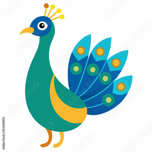 peacock on white background