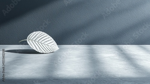 Elegant White Leaf on Gray Surface with Soft Shadows and Texture