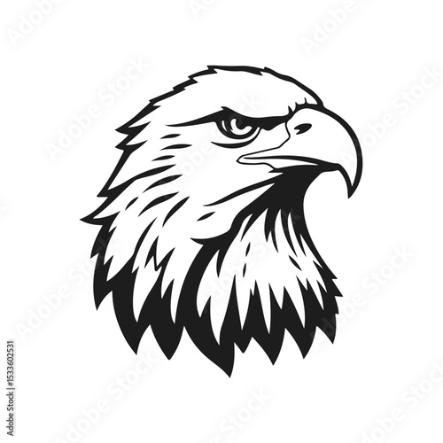Eagle head silhouette in black and white vector style with sharp beak and expressive eyes directed forward, eagle head, bird head, eagle face, bird of prey